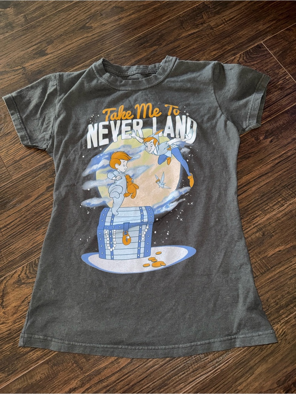 Disney gray Never Land Graphic Tee with Peter Pan